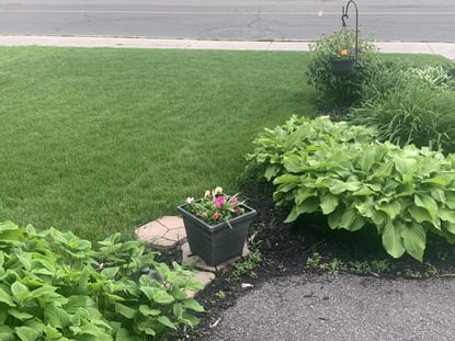 lawn-care-2