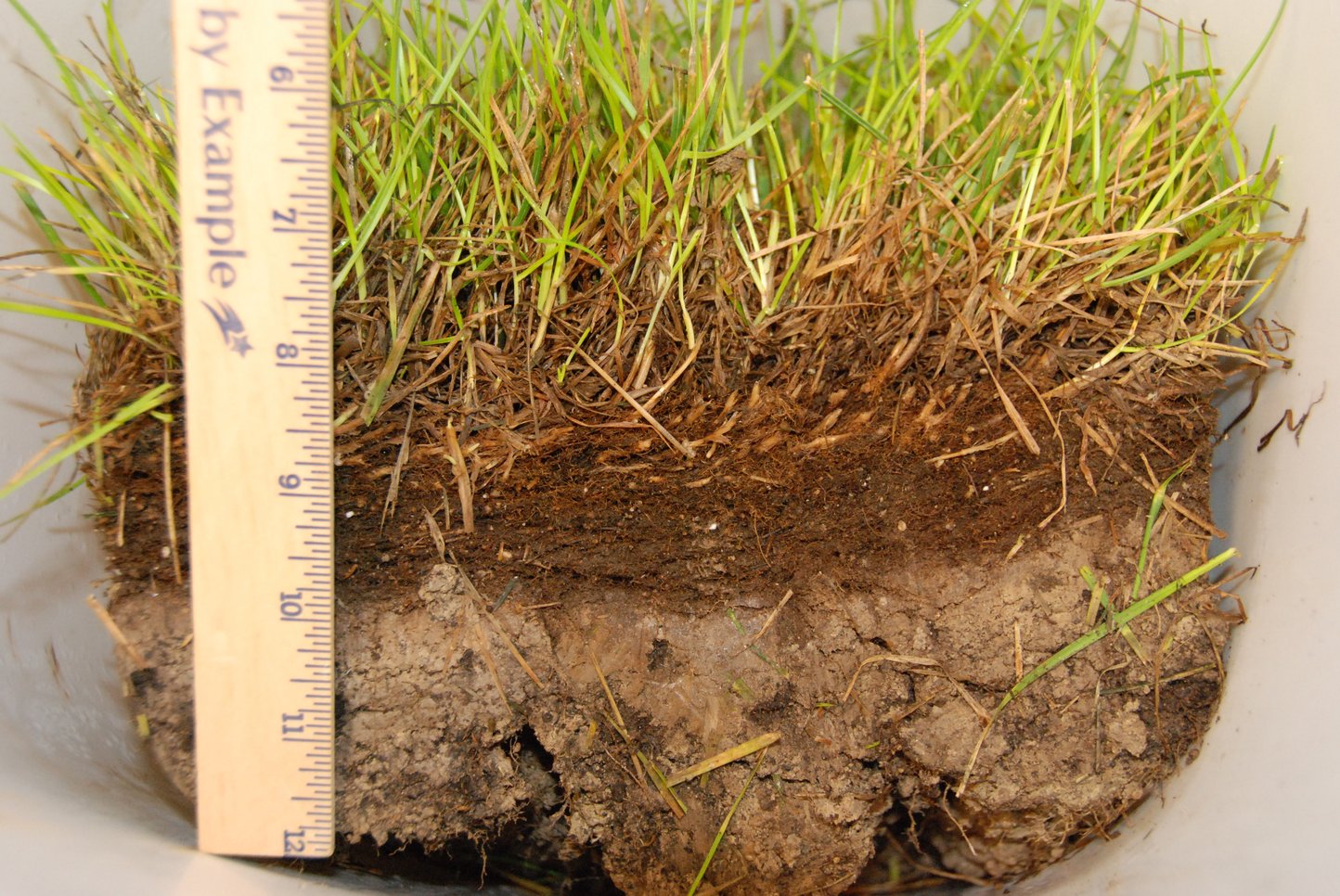 Aerating and Overseeding Your Lawn In Fall