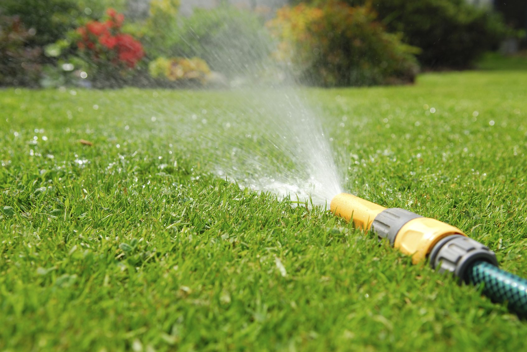 Watering techniques should be adjusted during the growing season.