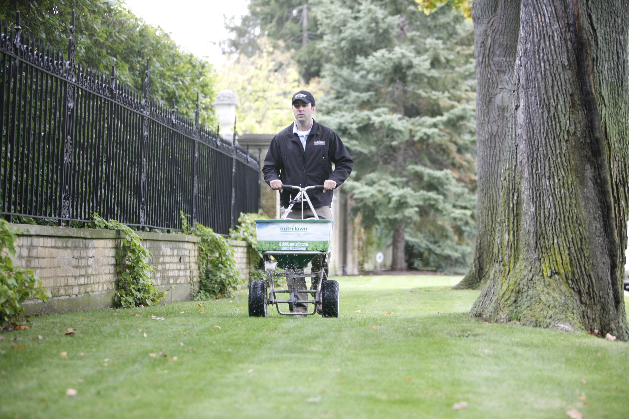 Early spring is an ideal time to lime your lawn, and is a great way to further improve your soil after performing a core aeration on your lawn.
