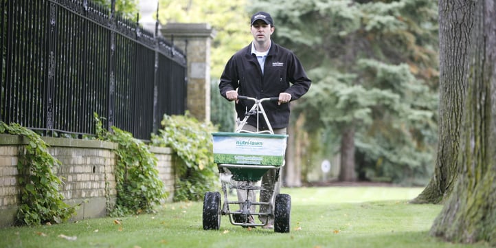 Fall is the ideal time for an annual lime application, since the lawn is actively growing. 