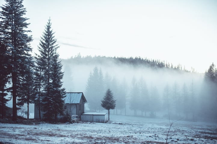 Winter kill is a term used to describe turf damage in the winter.