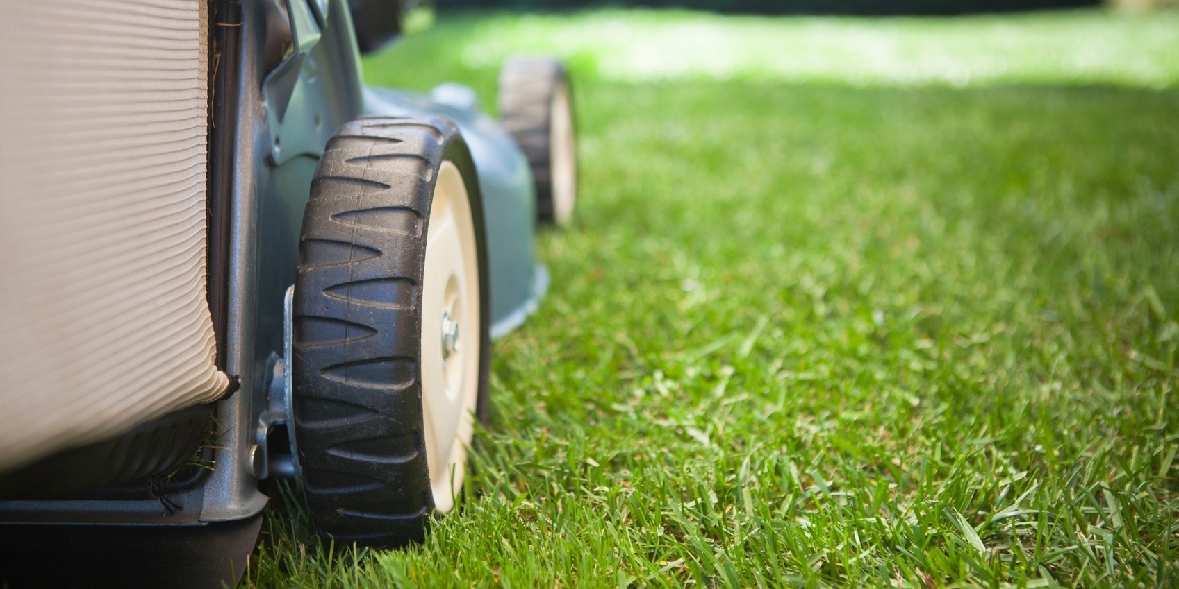 Don't Make These Spring Lawn Care Mistakes