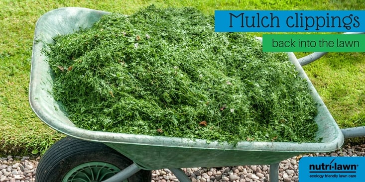 mulch-clippings-1.jpg