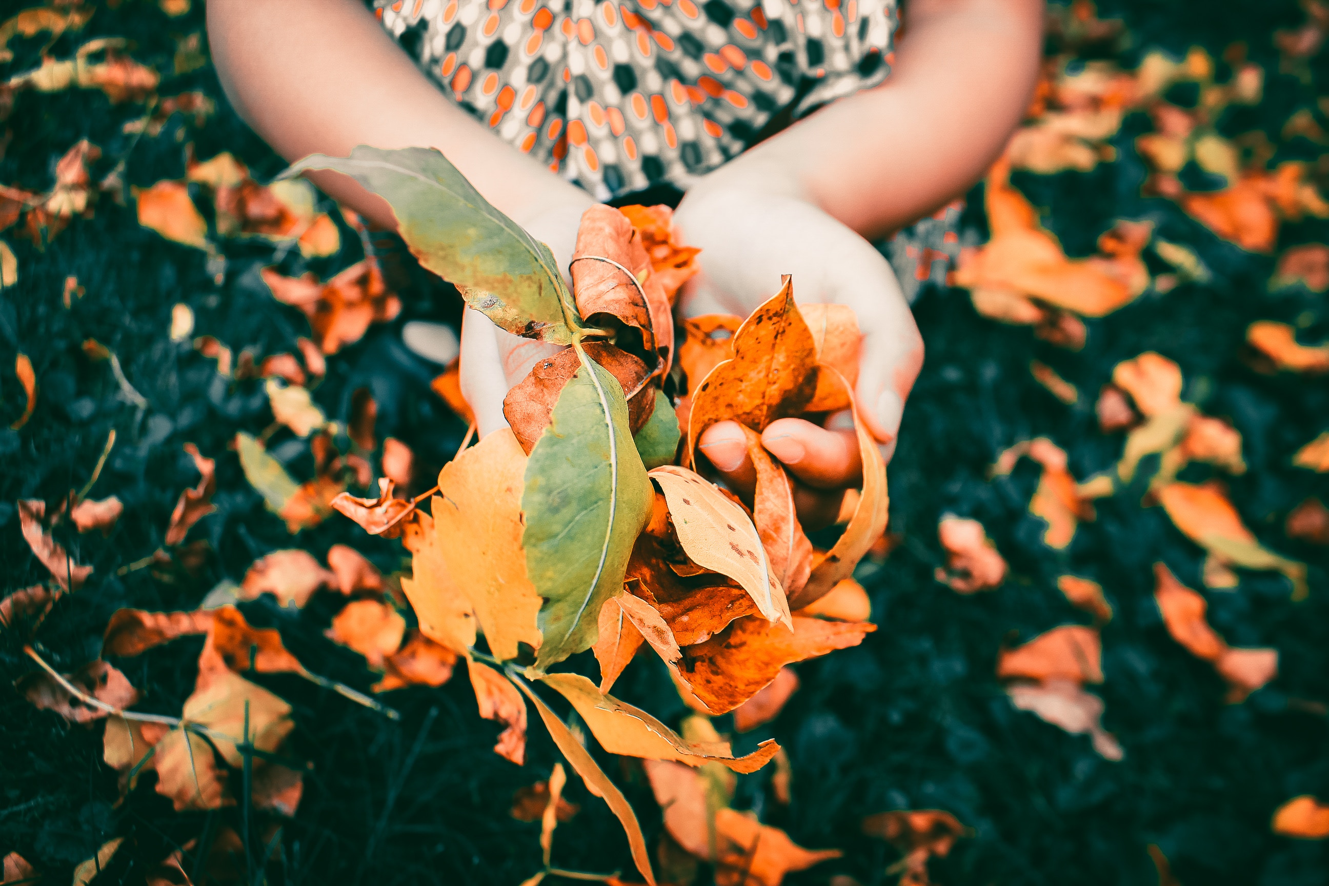 With Mother Nature giving us optimal growing conditions right now, fall is the ideal time to reseed your lawn.