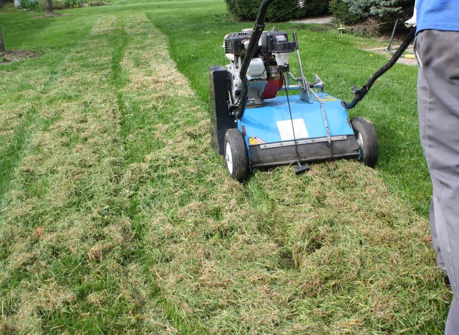 Lawn thatch is a tight, fibrous layer of dead, living, and decaying organic matter.