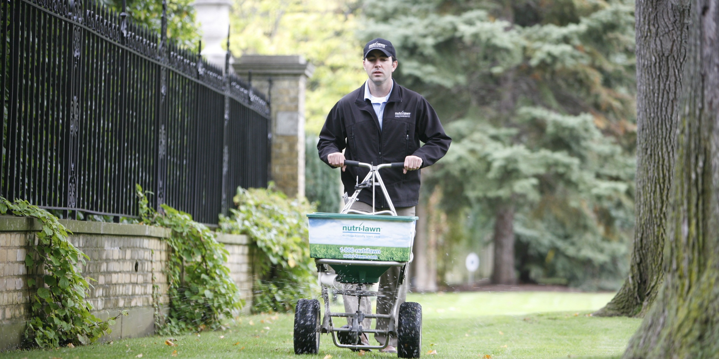 Don't fertilize too early in spring.