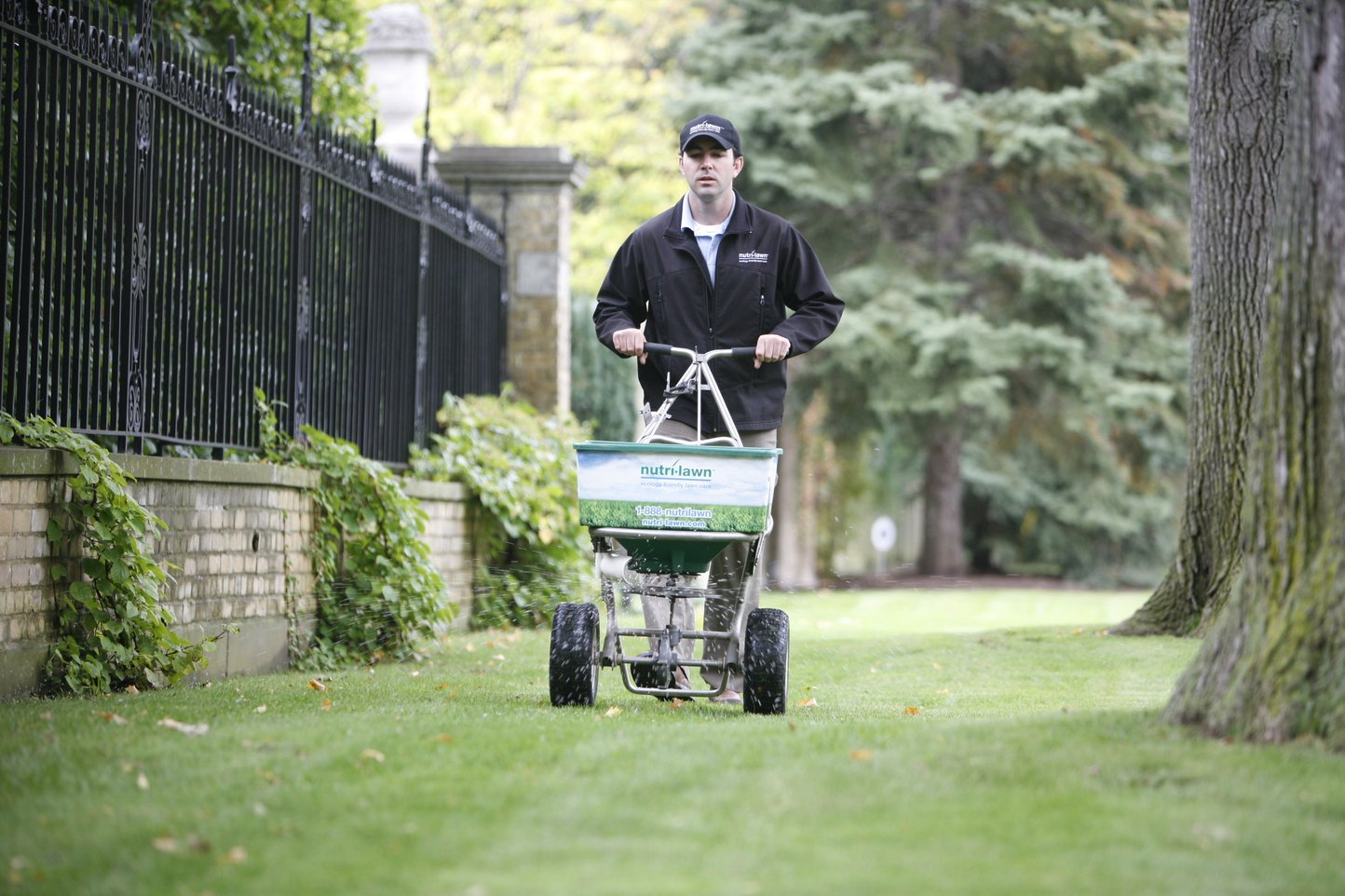 most-popular-lawn-fertilizers-for-vancouver