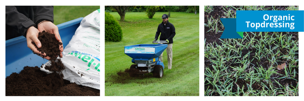 Topdressing is a sand or prepared soil mix which is thinly applied to the surface of the lawn. 