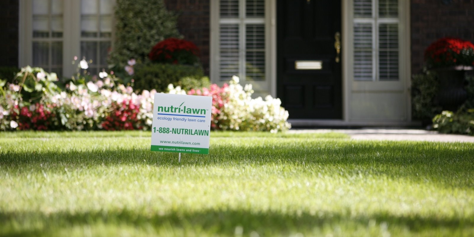 A healthy lawn is better able to defend itself against weeds and moss.