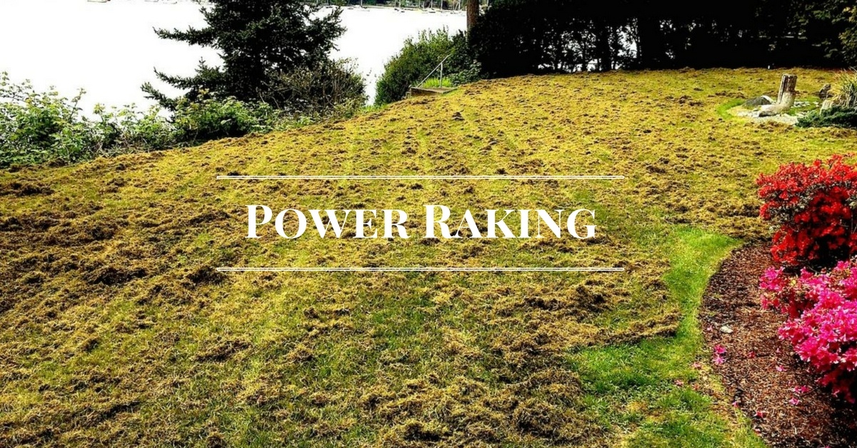 The 10 Best Fall Lawn Care Services