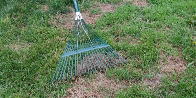 Rake in spring.