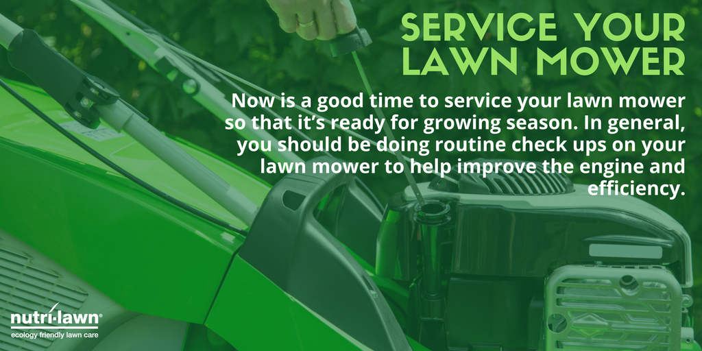 Cutting your grass too short means your grass will have shallow roots that may not be able to withstand the cold and weight of snow over winter.