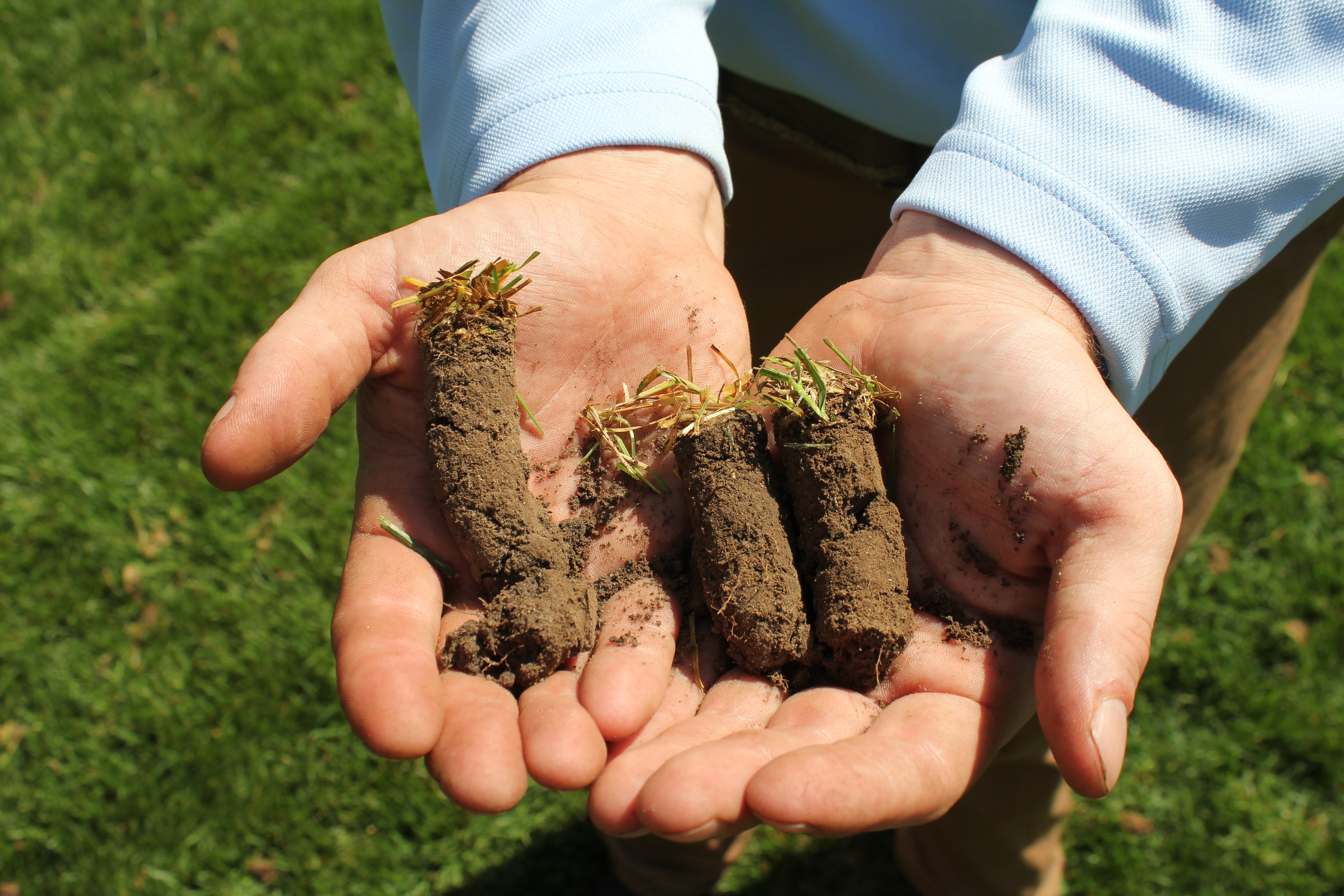 By aerating your lawn annually the thatch layer is routinely broken up.