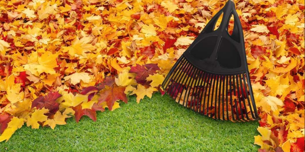 Raking should be a routine in fall.