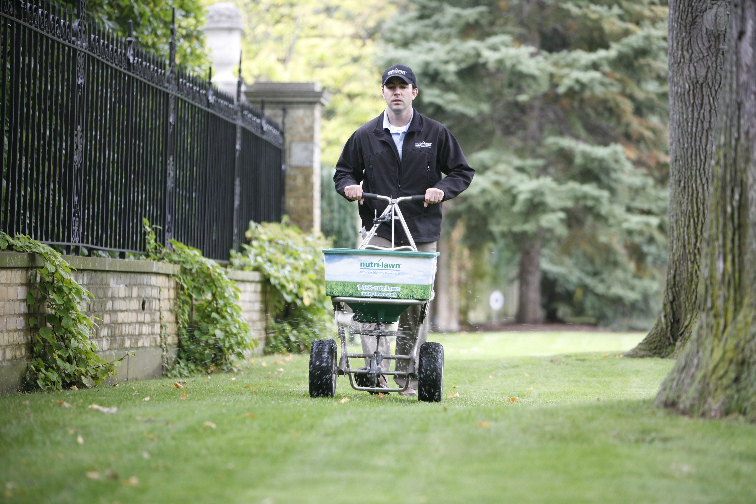 Spring is an ideal time to fertilize your lawn.