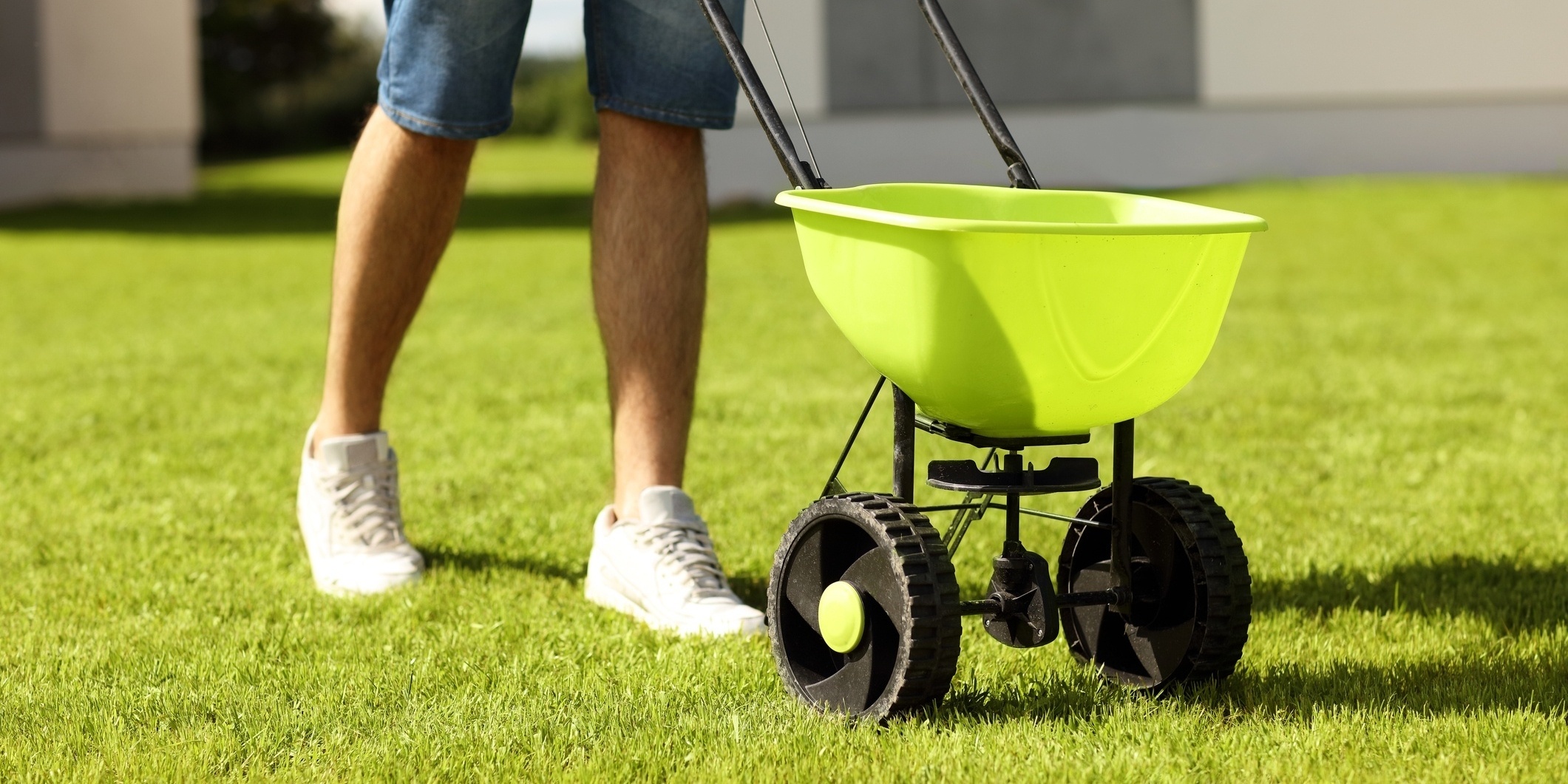 Use the right equipment when fertilizing.