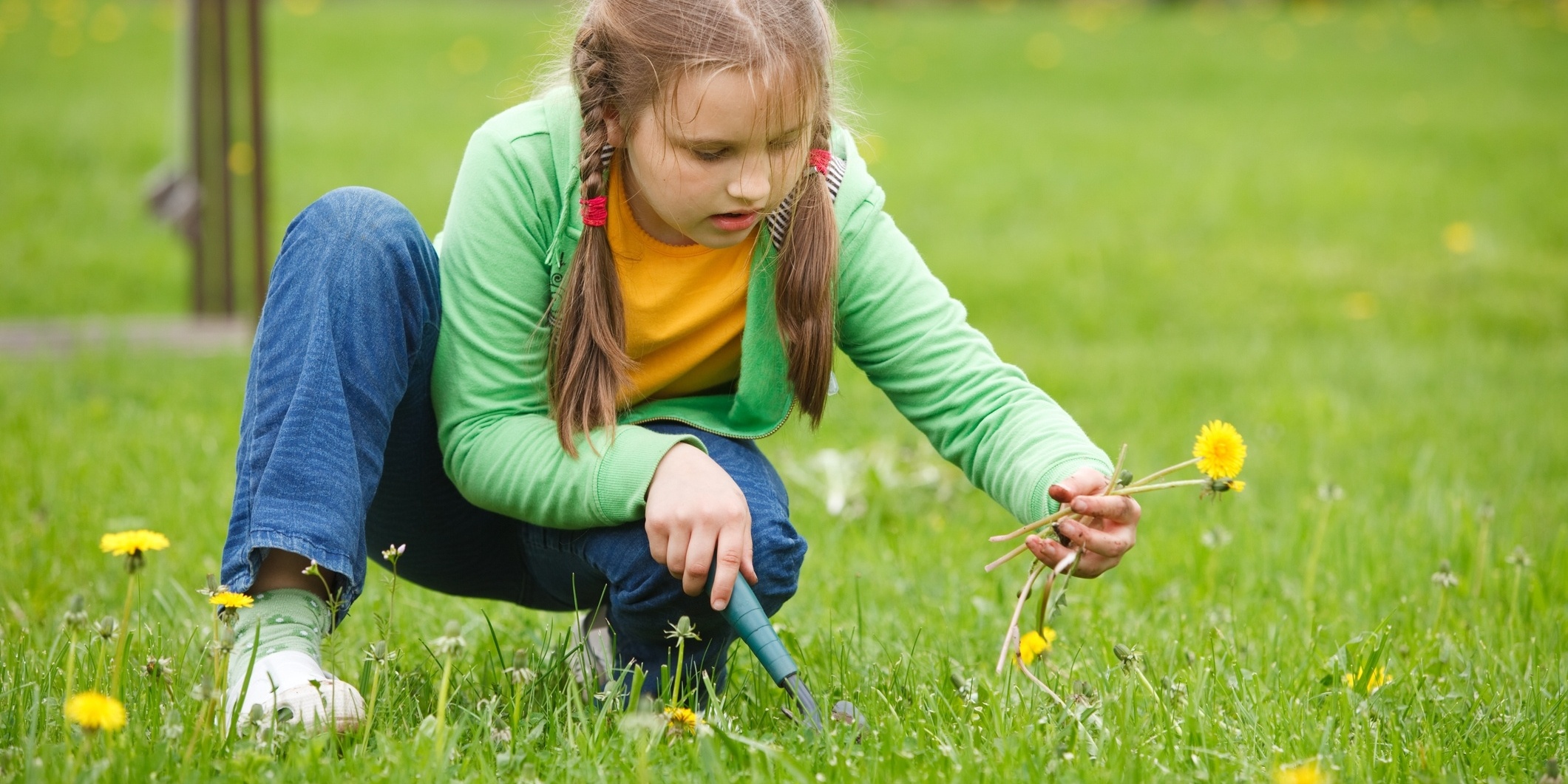 Good soil helps battle weeds.