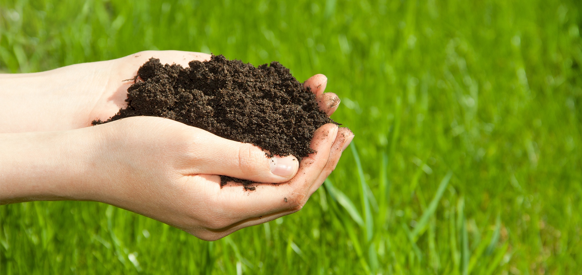 Just like the human body, your lawn needs a certain amount of nutrients to function properly.