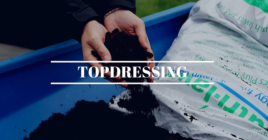 The Benefits of Topdressing Your Lawn This Spring