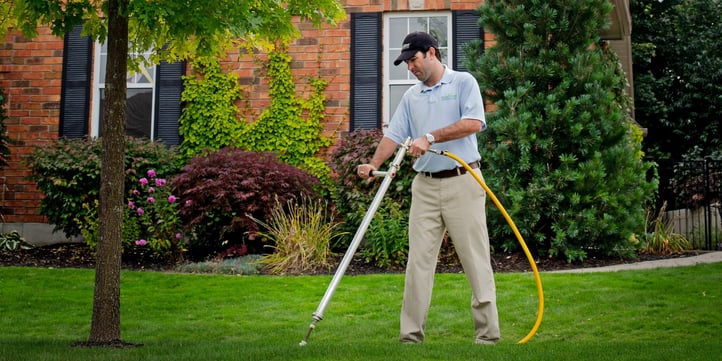 Protect your trees by fertilizing