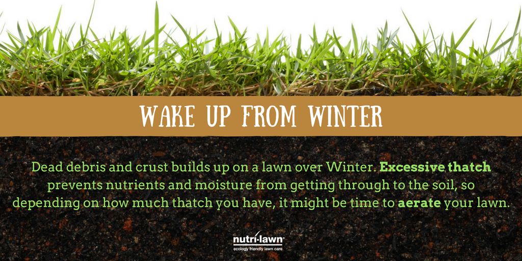 Because compacted soil has poor air and water infiltration, it isn't able to maintain a normal, healthy balance of microbes and fungi. 