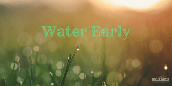 water early (twitter).png