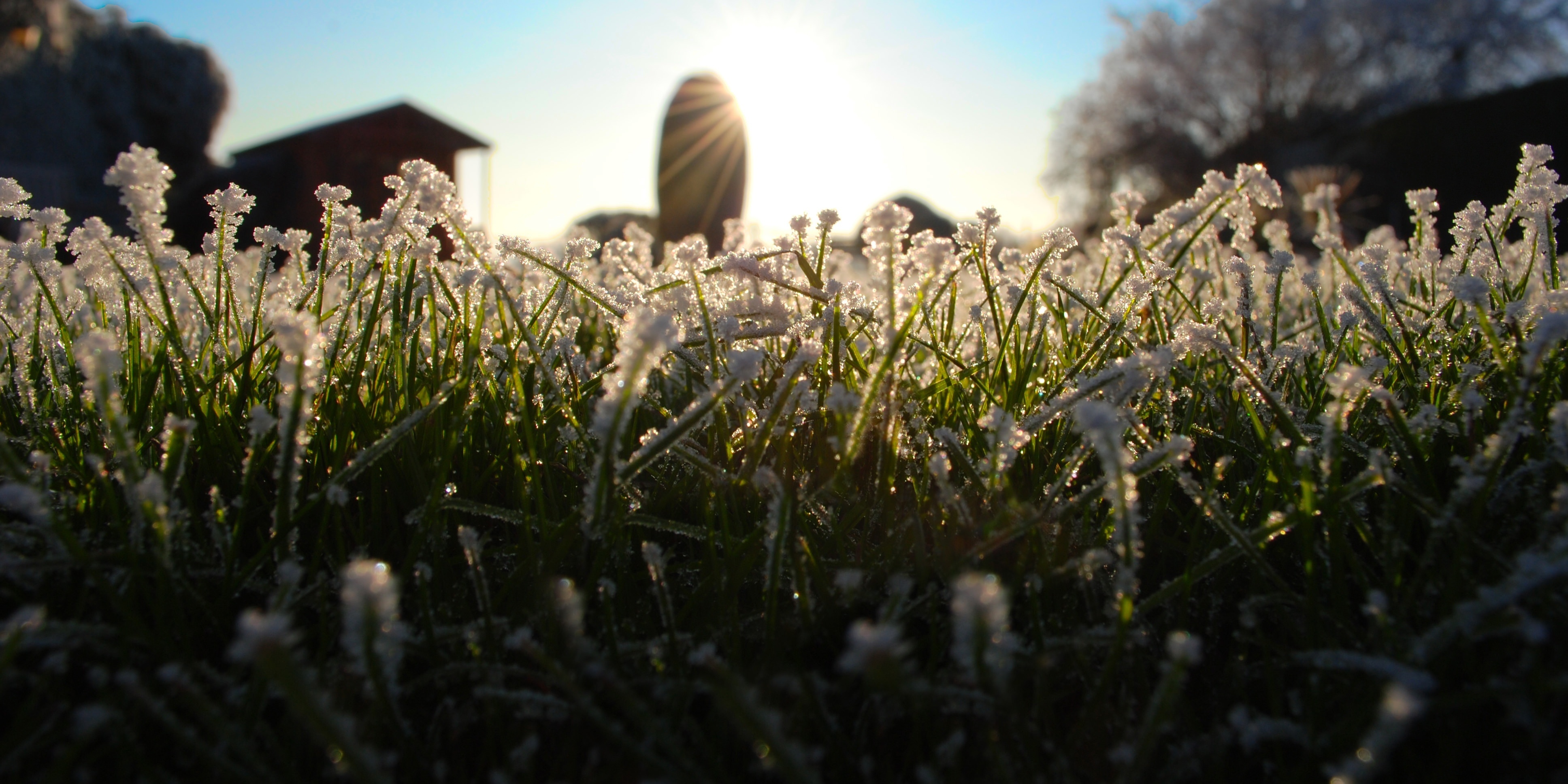 Don't walk on frosted grass.