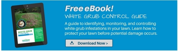 Download your free Grub Control Guide >