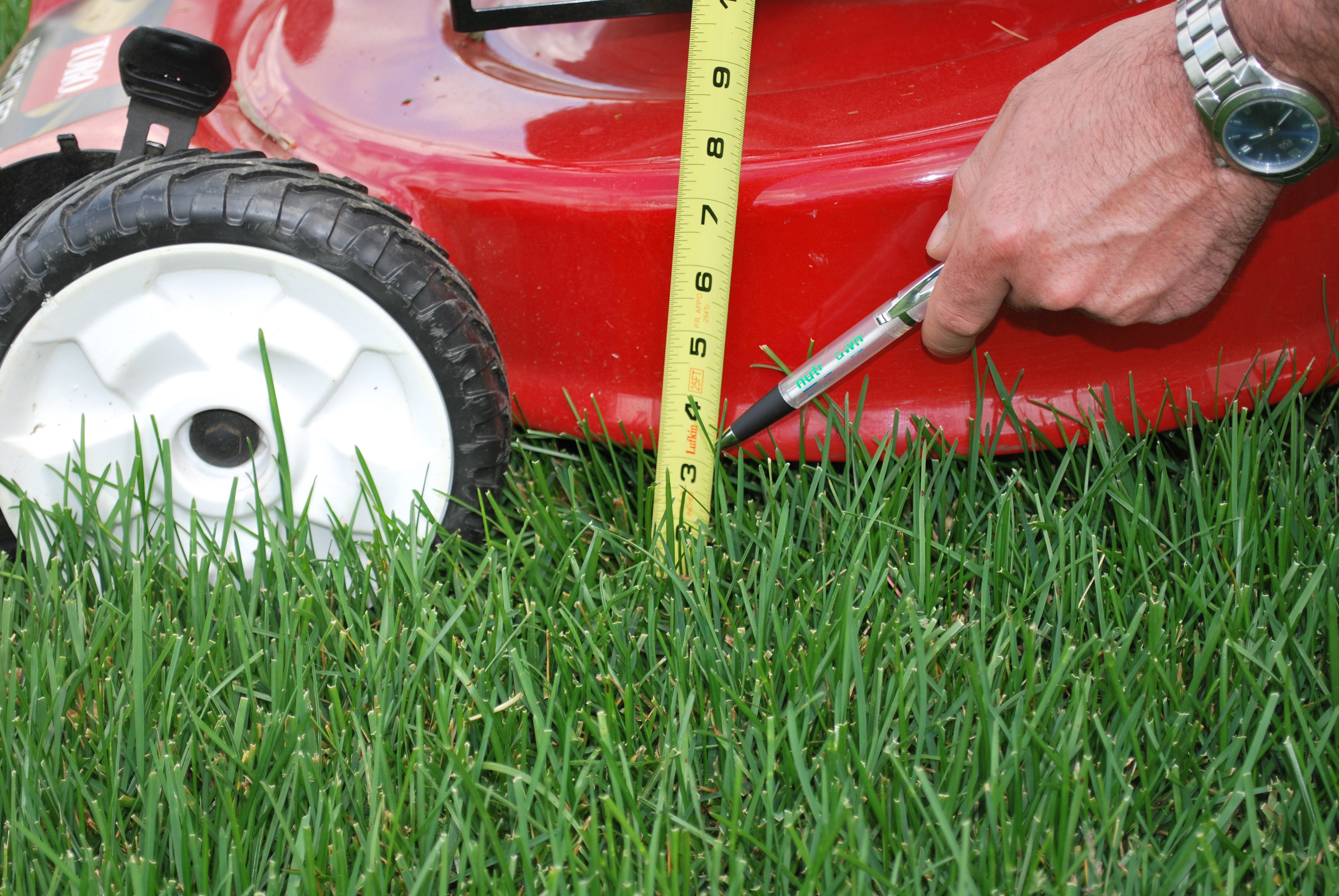 Lawn Mowing Best Practices